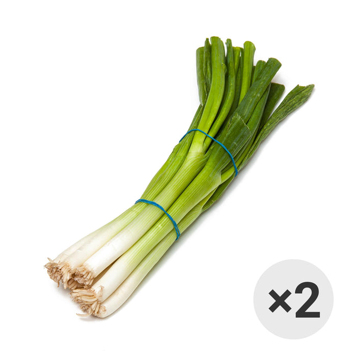 青蔥 - Scallion 2-ct