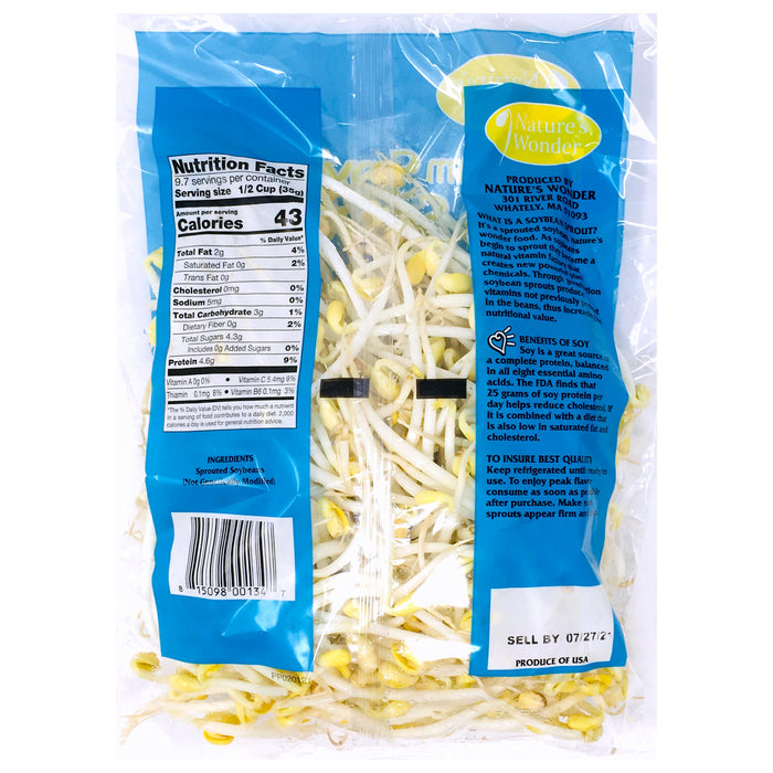 黃豆芽 - Soybean Sprout 12oz